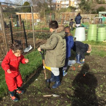 Allotment (6)
